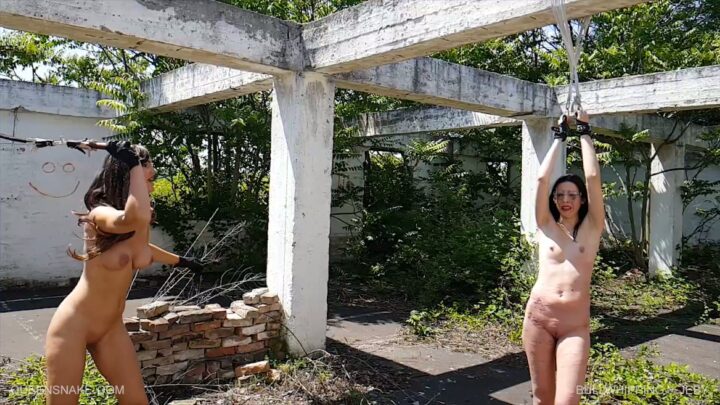 Screenshot 7 from Jeby’s Brutal Bullwhipping by Tanita – Queensnake