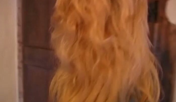 Screenshot 6 from Unexpected Guests: Steamy Spanking at Birchington Manor Movie