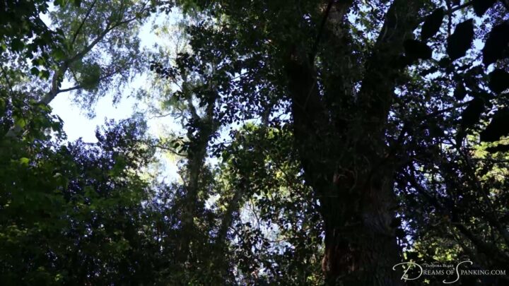 Screenshot 2 from Castigo de la Reina Vikinga: Detrás de Cámaras en Dreamsofspanking