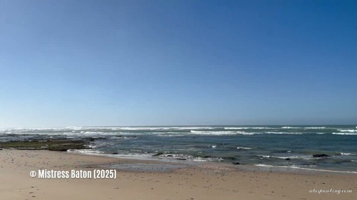 Skärmbild 4 från Sjambok på stranden: Sydafrikansk spöäventyr (Mistress Baton)