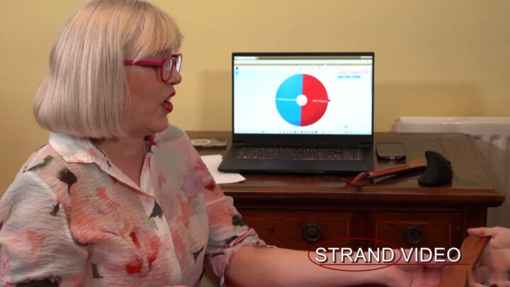 Screenshot 3 from Ashley Benson in The Gameshow Pilot – Spankingsarah