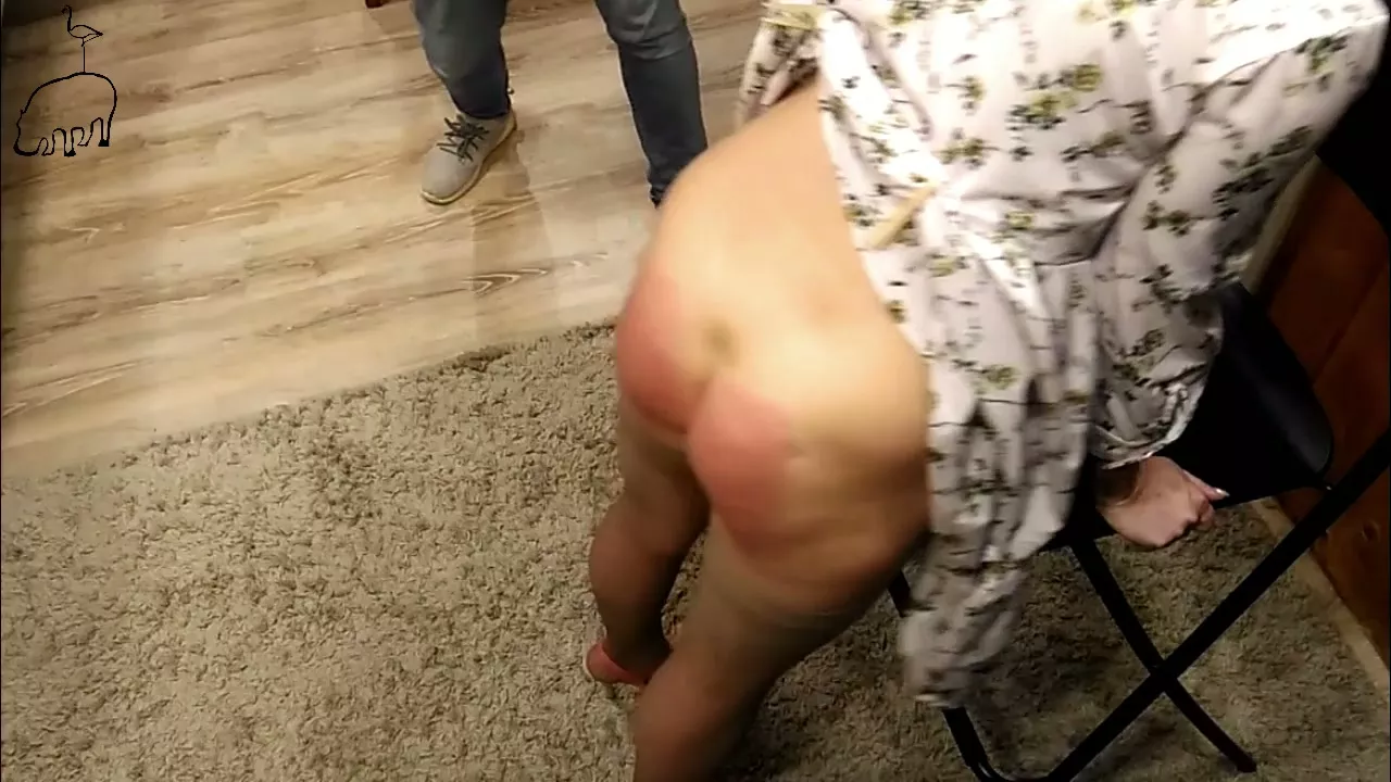 Captura de pantalla 8 de Sexy Azotes y Estricta Fustigación para la Traviesa Ama de Casa - Hipopótamo y Flamenco