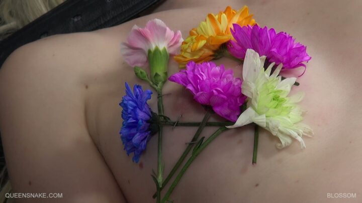 Screenshot 3 from Blossom: Jeby’s Staple Gun Punishment by Queensnake