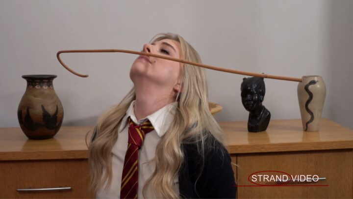 Screenshot 3 from Gabie’s Balancing Act: Cane Challenge at Spankingsarah