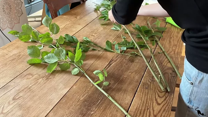 Screenshot 1 from Sarcastische Mevrouw Leert de Omschakeling