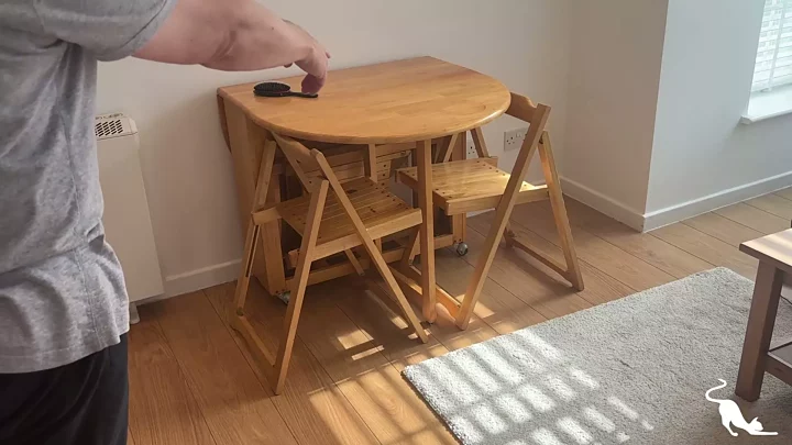 Screenshot 4 from You Asked for This Part 2: Hairbrush